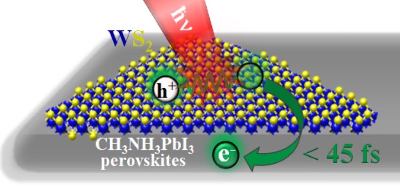 Ultrafast Exciton Dissociation at the 2D-Ws2 Monolayer/Perovskite Interface